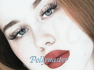 Pollynaster