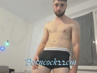 Porncock22cm
