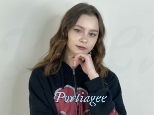 Portiagee
