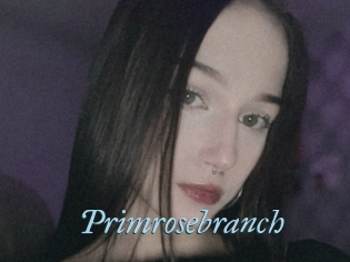 Primrosebranch