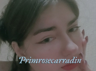 Primrosecarradin