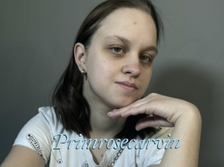 Primrosecarvin