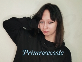 Primrosecoote