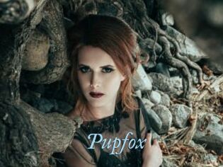 Pupfox