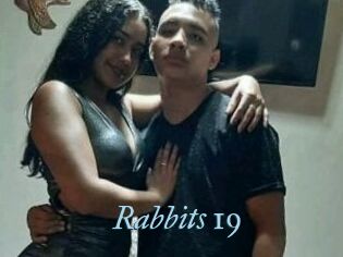 Rabbits_19