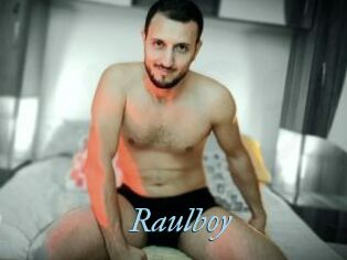 Raulboy