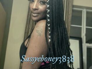 Sassyeboney3838