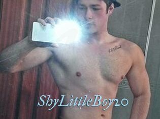 ShyLittleBoy20
