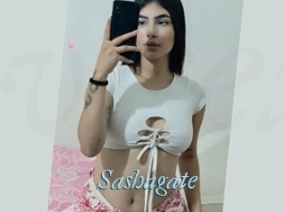 Sashagate