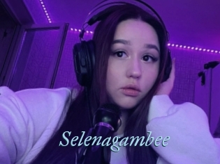 Selenagambee