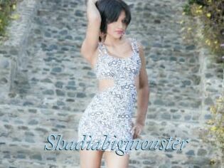 Shadiabigmonster