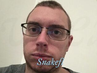 Snakefl