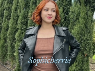 Sophicherrie