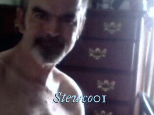 Stewco01