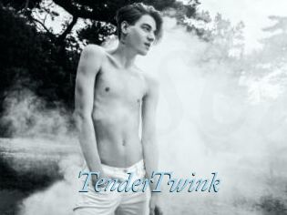 TenderTwink