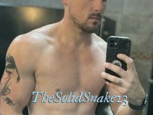 TheSolidSnake23