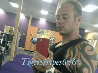 Tigerstripes6767