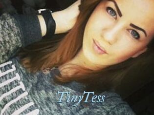 TinyTess
