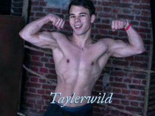 Taylerwild