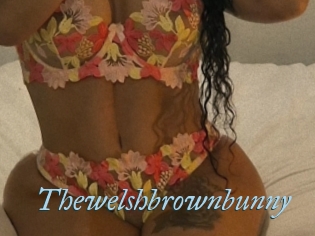 Thewelshbrownbunny