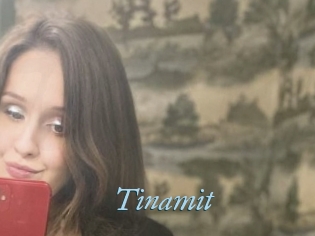 Tinamit