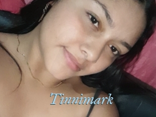 Tinnimark