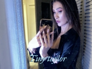 Tiny_taylor