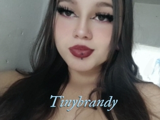 Tinybrandy