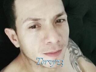 Torvy23