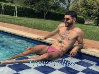 Trevor_collins