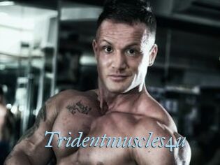 Tridentmuscles4u