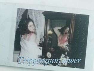Trippingsunflower