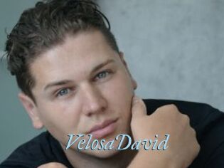 VelosaDavid