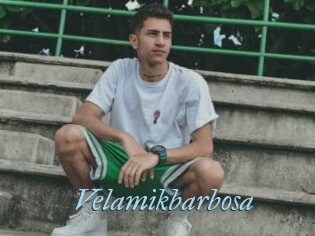 Velamikbarbosa