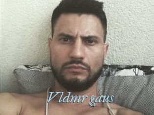 Vldmr_gaus
