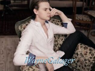 WayneGalager