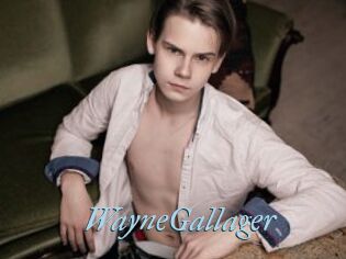 WayneGallager