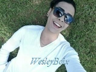 Wesley_Boix