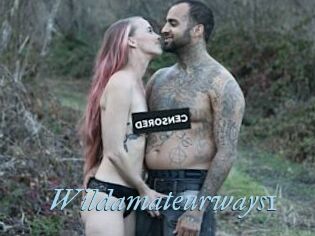 Wildamateurways1