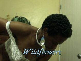 Wildflower1