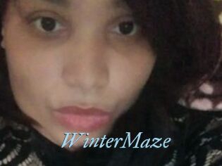 Winter_Maze