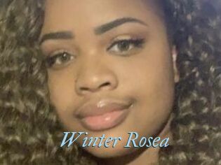 Winter_Rosea