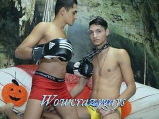 Wowcrazygays