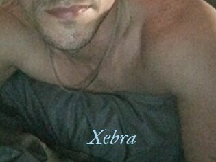 Xebra