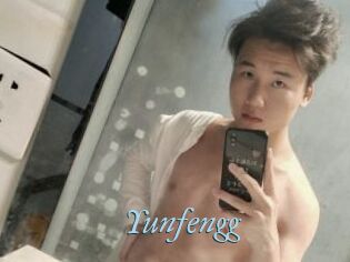 Yunfengg