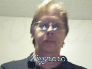 Ziggy2020