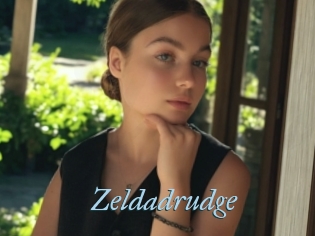 Zeldadrudge