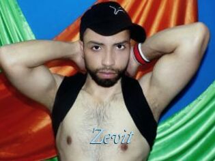 Zevit