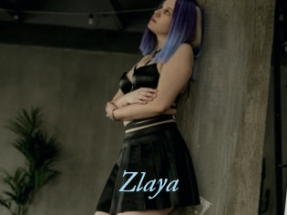 Zlaya